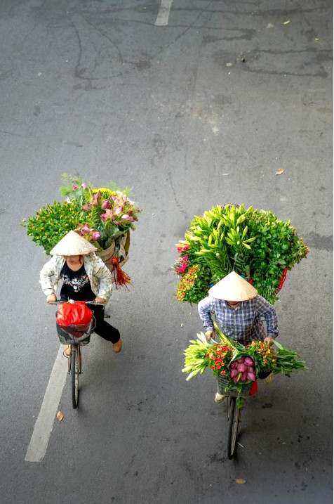 Seasonal stems for Brisbane workshop
