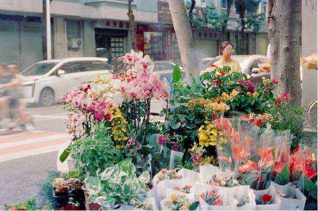 Botanical sample 2