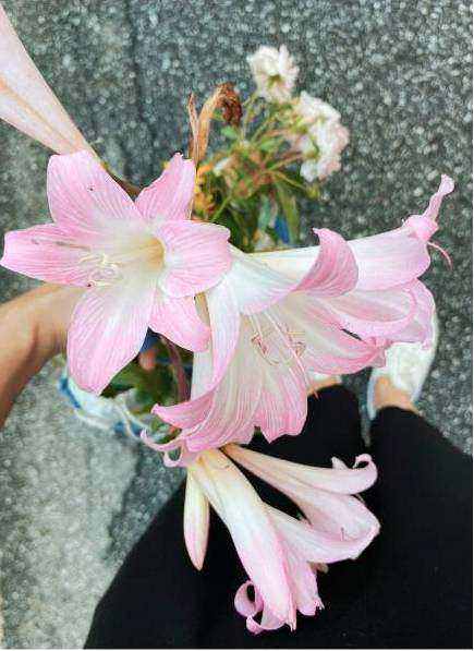 Buttonhole and posy set